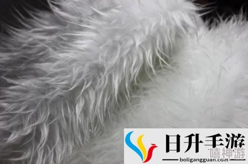 AAAAA级毛皮最火的一句话:绝对物有所值,质量无可挑剔,让您尽享奢华体验 AAAAA级毛皮最火的一句话:绝对物有所值,质量无可挑剔,让您尽享奢华体验