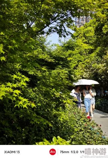 国产手机拍视频推荐2023:畅享高清影像,提升创作体验的最佳选择与实用技巧分享 国产手机拍视频推荐2023:畅享高清影像,提升创作体验的最佳选择与实用技巧分享