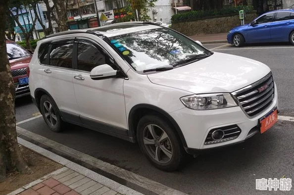 国产suv精品一区二区：网友热议性价比高、空间宽敞，驾驶体验出色，真是值得入手的好选择！
