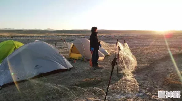 免费版网站入口：传闻即将上线新功能，用户体验大幅提升引发热议！