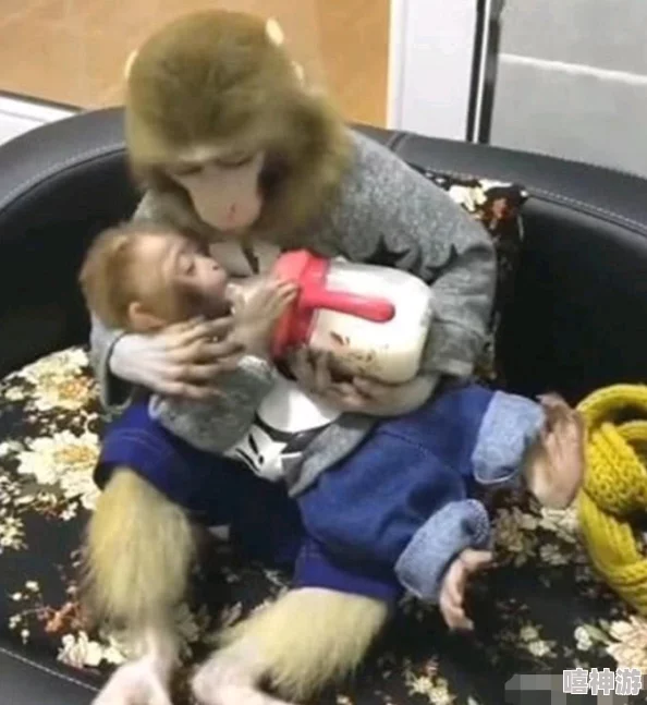 两人生猴子全程无被子,理解生活中的温暖与陪伴的重要性 两人生猴子全程无被子,理解生活中的温暖与陪伴的重要性