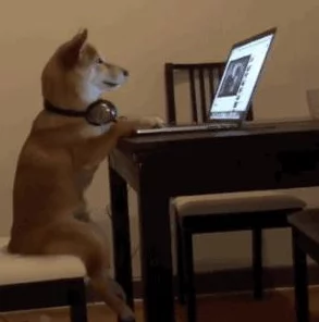 ZoomDogs and humans:在虚拟会议中,宠物如何成为人类的最佳伙伴与情感支持者,共同应对远程工作的挑战与乐趣 ZoomDogs and humans:在虚拟会议中,宠物如何成为人类的最佳伙伴与情感支持者,共同应对远程工作的挑战与乐趣