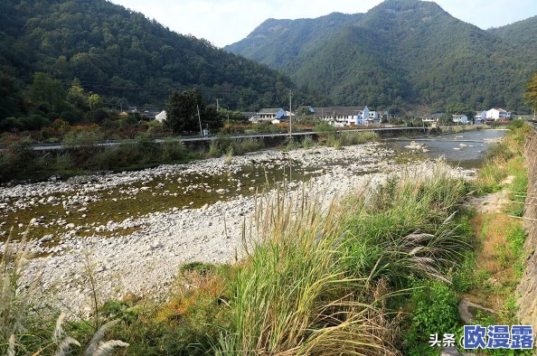 国产电影一曲二曲三曲的区别：网友热议各类影片风格与叙事手法，探讨观影体验的多样性与深度