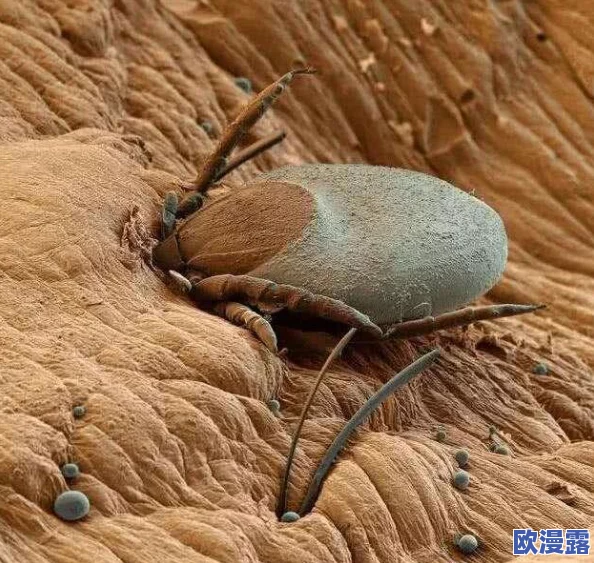 王者荣耀女生去掉小内皮肤，竟引发玩家热议，背后隐藏的故事让人惊讶不已！