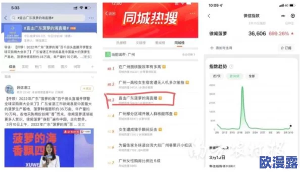 菠萝大福利：全新促销活动上线，消费者享受前所未有的折扣与惊喜体验！
