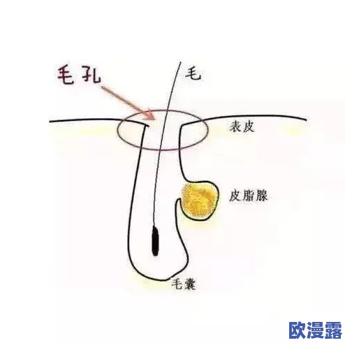 冲破少女最后的屏障：从心理成长到社会压力，如何理解青春期的挑战与机遇