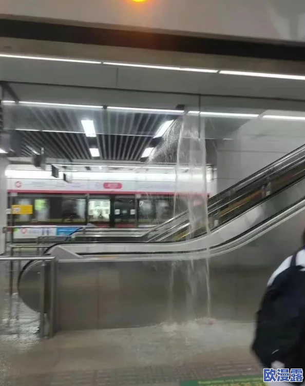 地铁逃生游戏中,哪款六级护甲最抗打击且耐用性高 地铁逃生游戏中,哪款六级护甲最抗打击且耐用性高