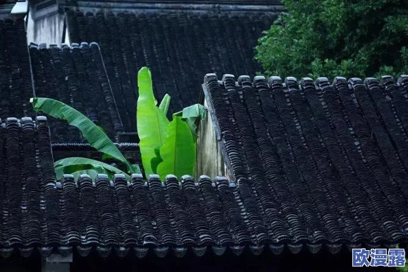 微信小游戏四季物语图鉴大全:全新更新内容与玩法解析,助你轻松收集所有角色和道具! 微信小游戏四季物语图鉴大全:全新更新内容与玩法解析,助你轻松收集所有角色和道具!