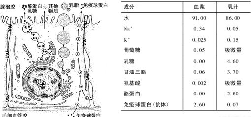 和平精英女生的母乳到底有多白？从生物学角度分析其成分与色泽变化的研究报告