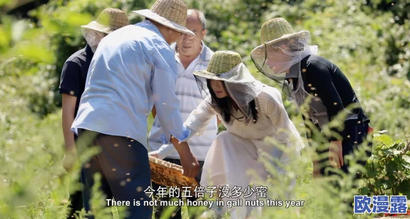 柴火垛里的疯狂55集蜂窝网：传闻某知名导演在拍摄现场意外发现隐藏的神秘宝藏，引发圈内热议！