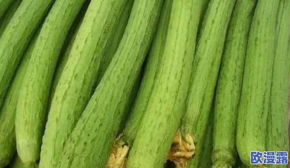 草莓香蕉榴莲黄瓜丝瓜茄子：多种水果与蔬菜的营养价值及其在健康饮食中的重要性分析