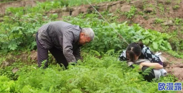 拔萝卜又叫又疼：农民在收获季节面临的挑战与辛酸故事逐渐浮出水面