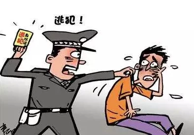 长了个小批后被爆炒了，网友热议其背后的故事与影响，引发广泛关注和讨论