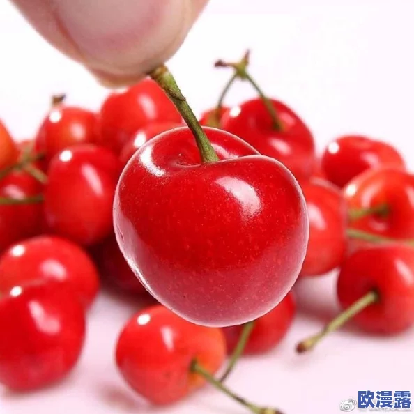 精品推荐秘 蜜桃：新鲜上市，口感绝佳，带你领略蜜桃的独特魅力与健康益处！
