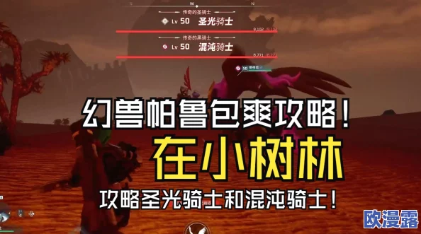 幻兽帕鲁挑战攻略：混沌骑士二人组高效打法建议与策略分享
