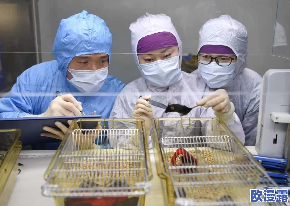 欧美人禽:网友热议文化差异与伦理观念,探讨人类与动物关系的复杂性和社会影响 欧美人禽:网友热议文化差异与伦理观念,探讨人类与动物关系的复杂性和社会影响
