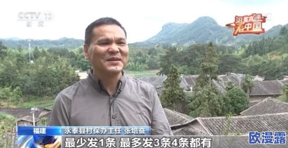 日本jjzz：网友热议这一现象背后的文化影响与社会反响，探讨其对年轻一代的意义与价值观形成