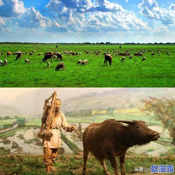 探讨《文明6》中哪个兵种能有效克制末日机甲或灾难单位 探讨《文明6》中哪个兵种能有效克制末日机甲或灾难单位