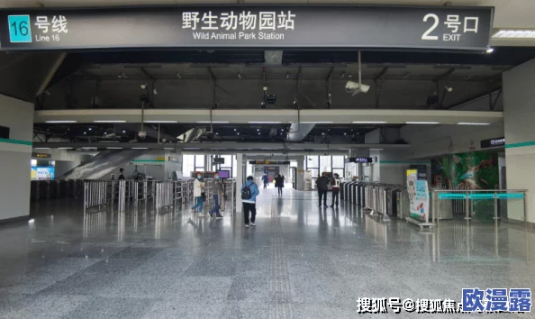 x7x7暴力槽:揭示其背后的技术原理与应用前景,带你深入了解这一创新产品的独特魅力 x7x7暴力槽:揭示其背后的技术原理与应用前景,带你深入了解这一创新产品的独特魅力