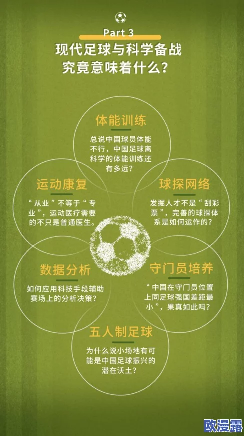 黑土ちゃんが脚法娴熟:探讨其在现代足球中的技术应用与发展潜力的研究分析 黑土ちゃんが脚法娴熟:探讨其在现代足球中的技术应用与发展潜力的研究分析