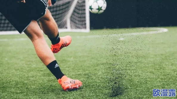 黑土ちゃんが脚法娴熟:探讨其在现代足球中的技术应用与发展潜力的研究分析 黑土ちゃんが脚法娴熟:探讨其在现代足球中的技术应用与发展潜力的研究分析