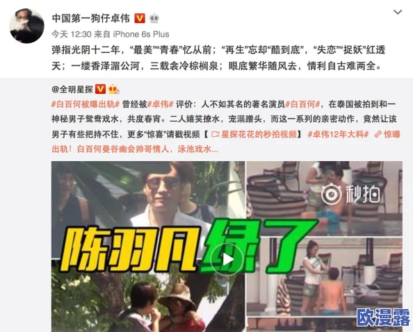 2024年热点:17cc网黑料爆料官网蘑菇引发的网络风波与舆论热议 2024年热点:17cc网黑料爆料官网蘑菇引发的网络风波与舆论热议