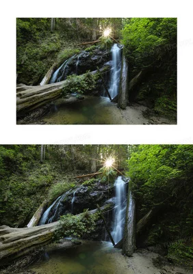 浓密的森林小溪在流淌水,发现水流如何影响生态系统和生物多样性的秘密与美丽自然景观的结合 浓密的森林小溪在流淌水,发现水流如何影响生态系统和生物多样性的秘密与美丽自然景观的结合
