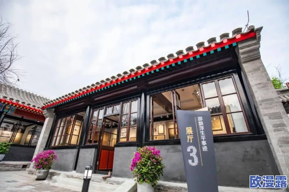 四川BBBB搡BBB搡B1图：深入了解这一现象背后的故事与影响，带你走进不为人知的细节与真相