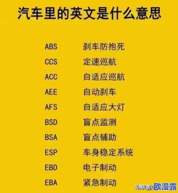 2024年哪些开车游戏最受欢迎？热门好玩的开车游戏大全推荐