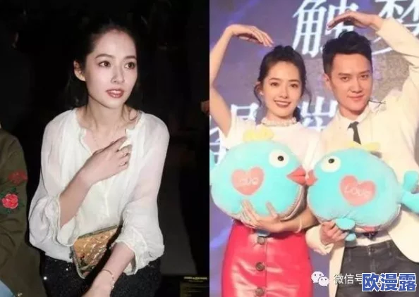 李宗瑞与贝贝一夜两次：娱乐圈的绯闻故事与公众反响分析