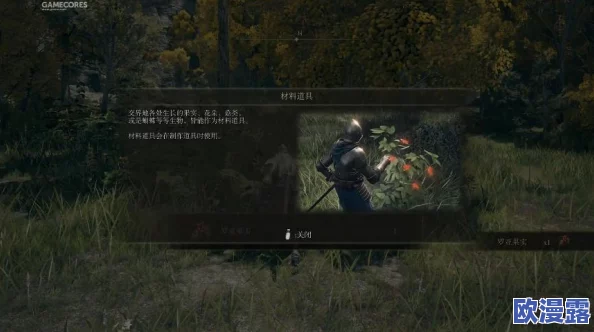 比较评测：巫师系列与艾尔登法环，哪款游戏更胜一筹？
