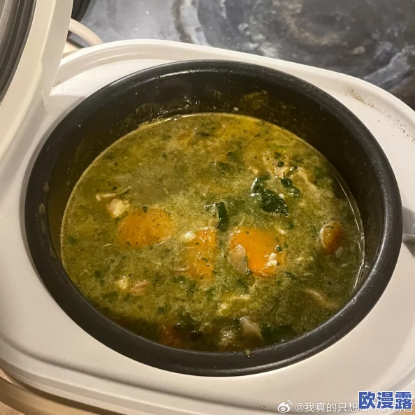 澧色母16汤不加,网友热议:这道菜的味道究竟如何?是否值得一试?大家的看法各异! 澧色母16汤不加,网友热议:这道菜的味道究竟如何?是否值得一试?大家的看法各异!