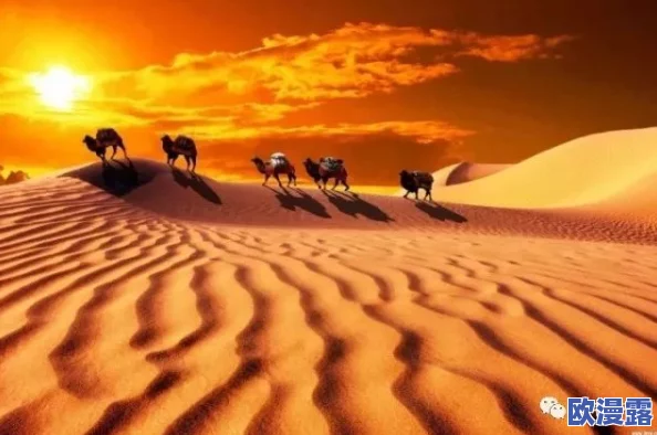 我就要草(591Cao)：这是一种表达对某种事物强烈渴望或追求的情感，可能涉及个人兴趣、爱好或生活态度