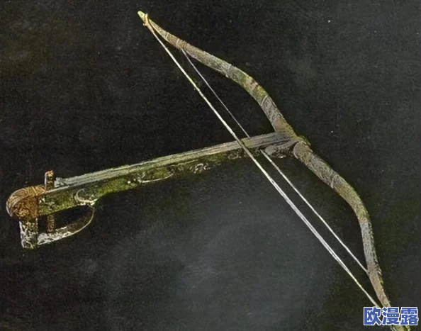 DNF步枪与弩械全面对比：哪个职业武器更厉害？