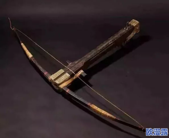 DNF步枪与弩械全面对比：哪个职业武器更厉害？