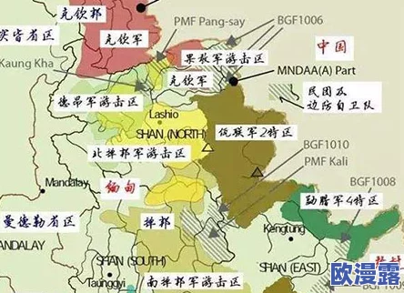 缅北黑网:揭示缅甸北部地区非法网络交易的复杂生态及其对当地社会和经济的深远影响 缅北黑网:揭示缅甸北部地区非法网络交易的复杂生态及其对当地社会和经济的深远影响