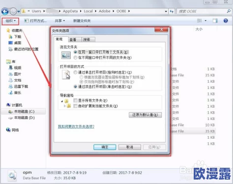 网站免费进入窗口软件湖南网：提升用户体验与信息获取效率的创新解决方案分析与实践研究