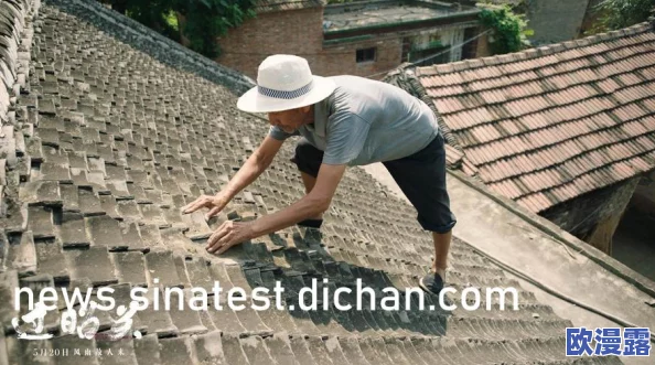 2024黑料社区：最新动态与发展进展，揭示行业内外的变化与趋势分析