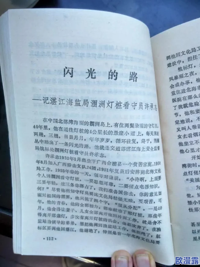 506寝室的灯灭了小莲的作文：在黑暗中寻找光明与希望的心灵旅程