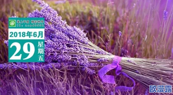 日本薰衣草实验研究所的优势：深入分析其在植物育种、生态保护和香料产业中的独特贡献与创新实践