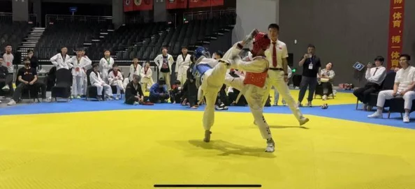 胡桃腿法娴熟脚法:解析这一独特的武术技艺及其在传统文化中的重要性与应用技巧 胡桃腿法娴熟脚法:解析这一独特的武术技艺及其在传统文化中的重要性与应用技巧