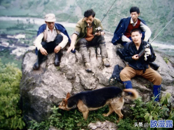 稀有近距离侧拍:观察野生动物行为的独特视角与生态学意义分析 稀有近距离侧拍:观察野生动物行为的独特视角与生态学意义分析