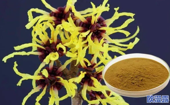 稀有近距离侧拍:观察野生动物行为的独特视角与生态学意义分析 稀有近距离侧拍:观察野生动物行为的独特视角与生态学意义分析