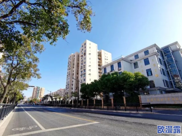 “探索城市天际线:哪个游戏地图拥有最多的平坦地形区域” “探索城市天际线:哪个游戏地图拥有最多的平坦地形区域”