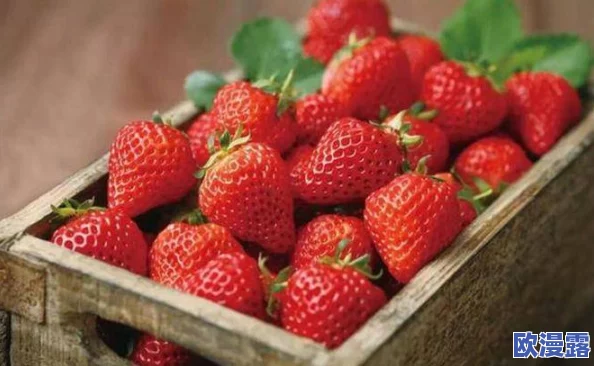 迈开腿吃草莓:震撼曝光!草莓的神奇健康益处让你意想不到,如何轻松享受美味与健康双重惊喜! 迈开腿吃草莓:震撼曝光!草莓的神奇健康益处让你意想不到,如何轻松享受美味与健康双重惊喜!