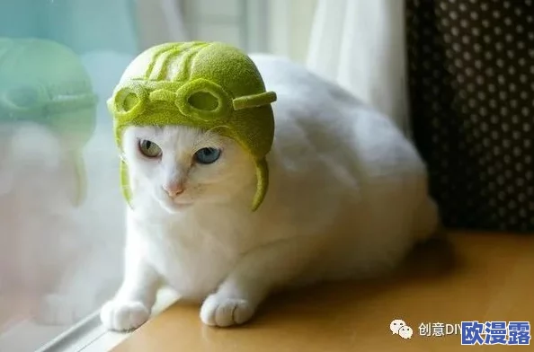 柚子猫雷电将军被爆炒，网友惊呼：竟然还有这种操作，背后真相让人跌破眼镜！