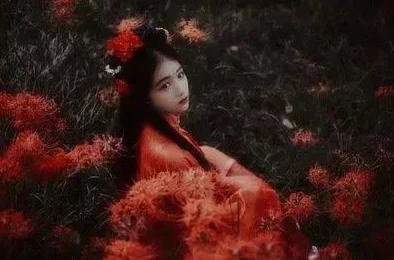 老阿姨小鲜肉最经典十首歌曲：回顾那些跨越年龄界限，深受不同世代喜爱的音乐作品，展现了情感与时代的交融