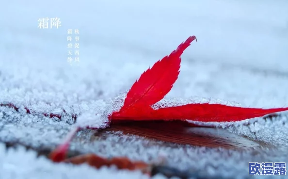 桃源秘境人家迎霜降，一夜寒霜节气庆典活动精彩纷呈