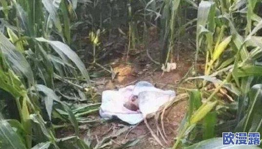 别捏我奶头，科学家发现这种行为竟会导致生理和心理双重影响，专家建议公众提高警觉！