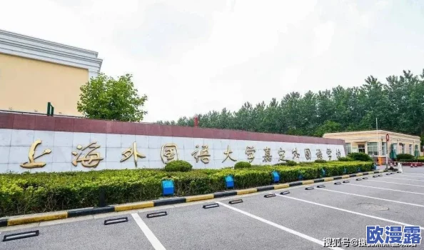 伊春园2024直达入口音响重大升级，音质达到前所未有的震撼体验，令人惊喜不已！
